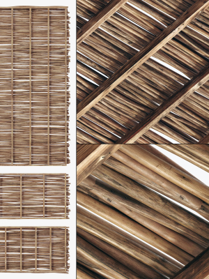 Branch thin thick decor n1