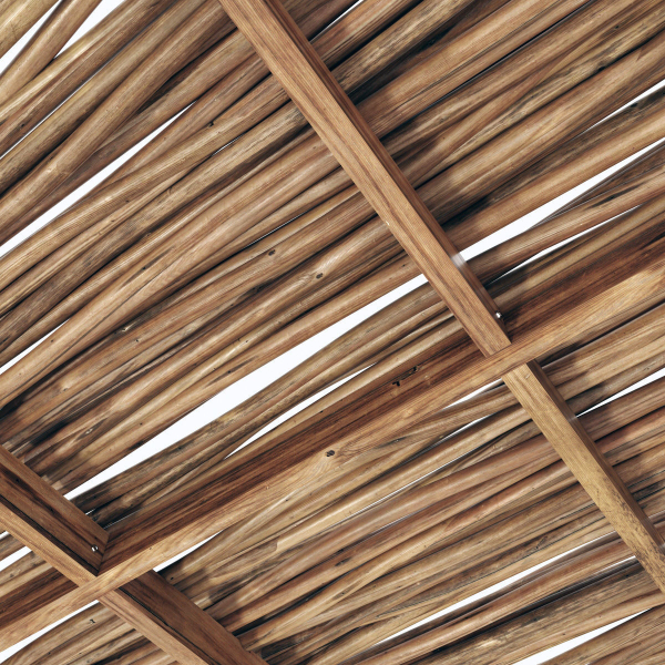 Branch thin thick decor n1