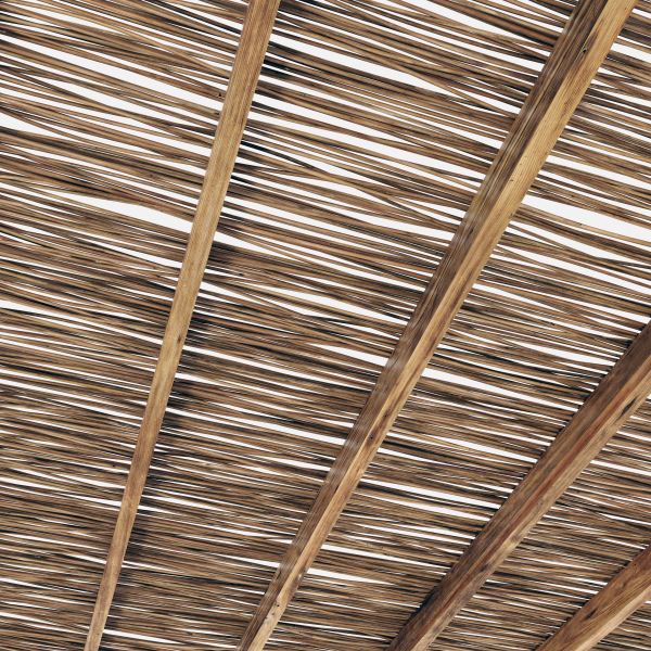Branch thin thick decor n1