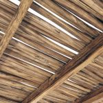 Branch thin thick decor n1