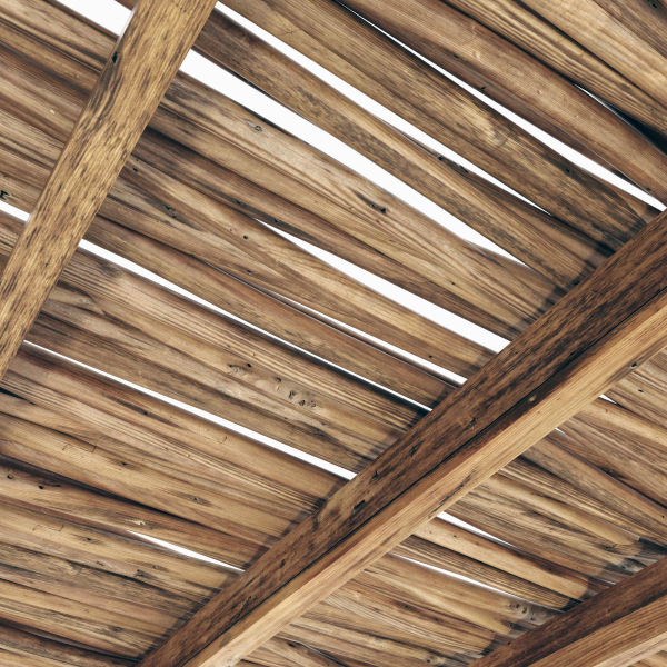 Branch thin thick decor n1