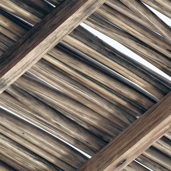 Branch thin thick decor n1