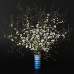 branches cherry flowers