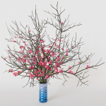 branches cherry flowers
