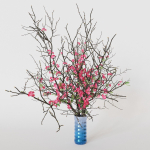 branches cherry flowers