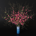 branches cherry flowers
