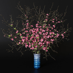 branches cherry flowers