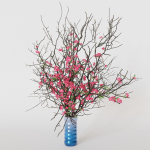 branches cherry flowers