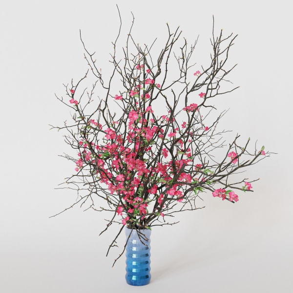 branches cherry flowers
