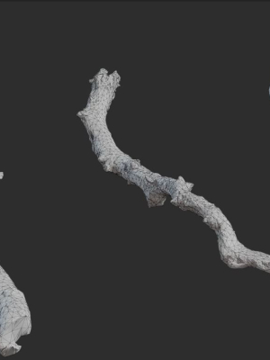 branches-game-ready-3d-model-684c70d295