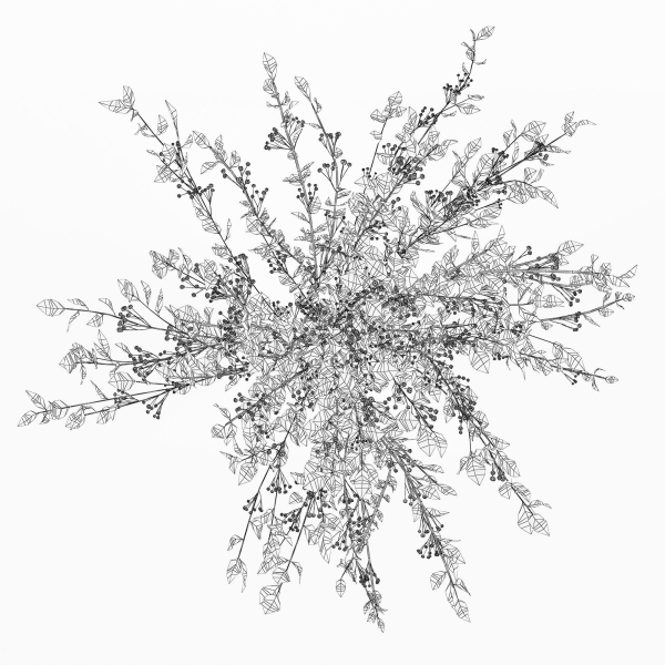 Branches in a vase 008