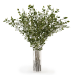 Branches in a vase 008