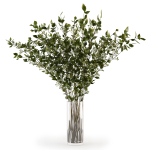 Branches in a vase 008