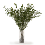Branches in a vase 008