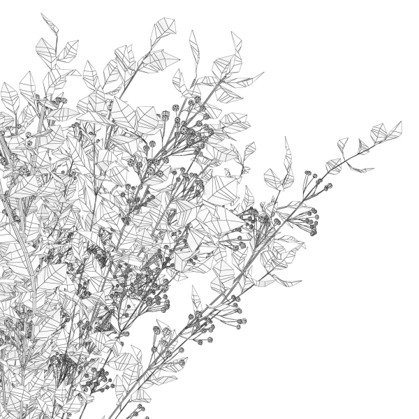Branches in a vase 008