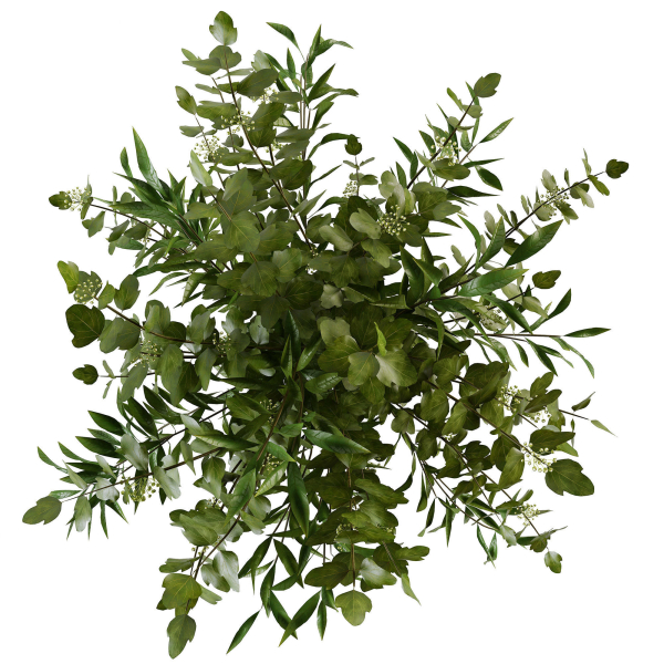 Branches in a vase 010