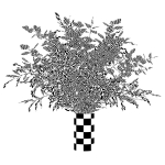 Branches in a vase 010