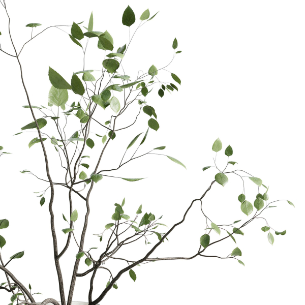 Branches plant with galss vase white bouquet 22