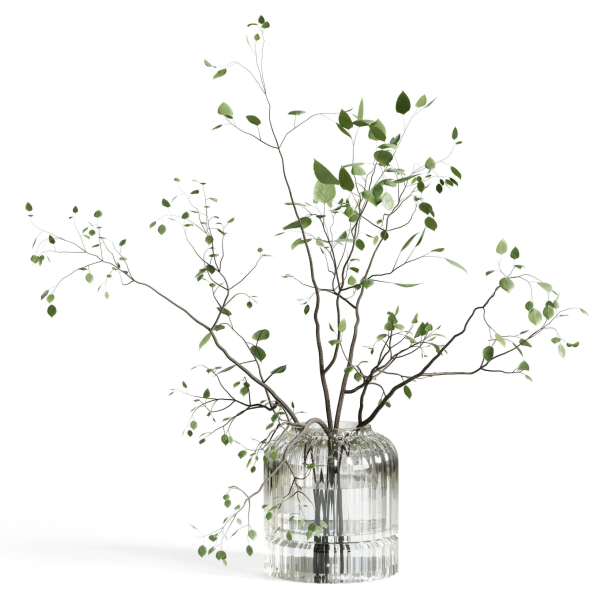 Branches plant with galss vase white bouquet 22