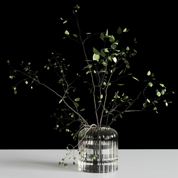 Branches plant with galss vase white bouquet 22