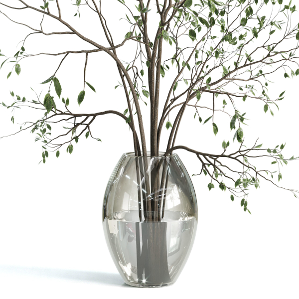 Branches plant with galss vase white - bouquet 24