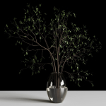 Branches plant with galss vase white - bouquet 24
