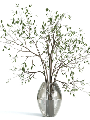 Branches plant with galss vase white - bouquet 24