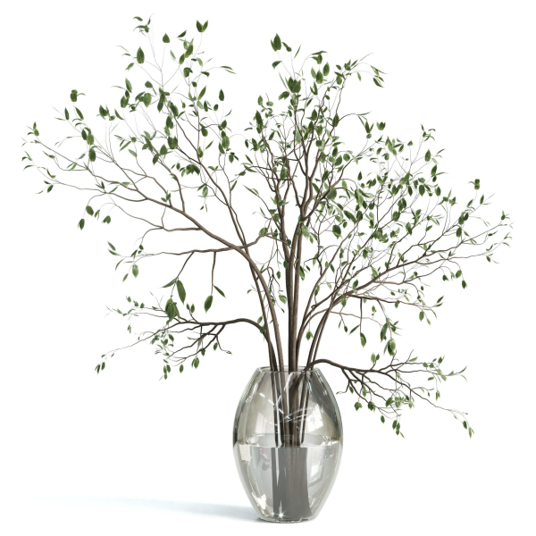 Branches plant with galss vase white - bouquet 24