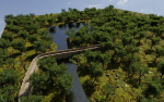 Bridge Scene