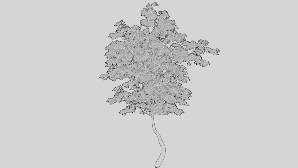 British Forest 3d Scene