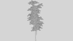 British Forest 3d Scene