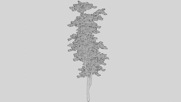 British Forest 3d Scene