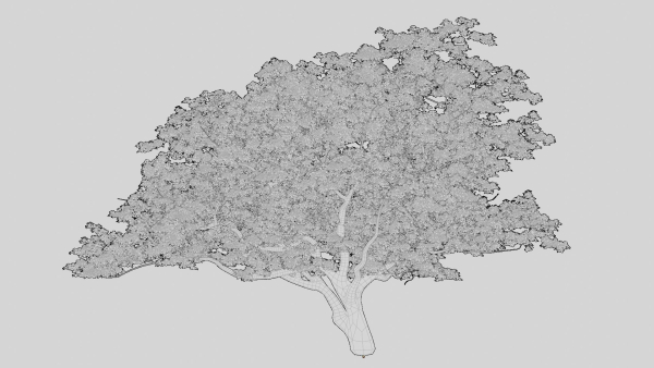 British Forest 3d Scene