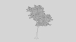 British Forest 3d Scene