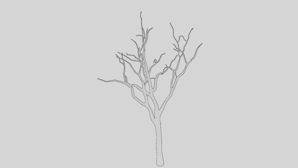 British Forest 3d Scene