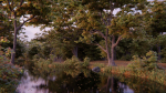 British Forest 3d Scene