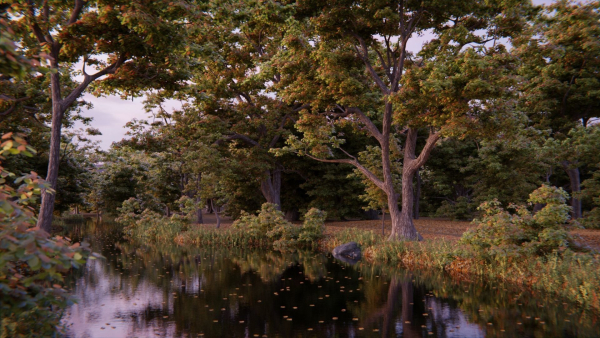 British Forest 3d Scene