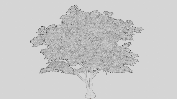 British Forest 3d Scene