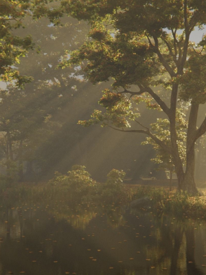 British Forest 3d Scene