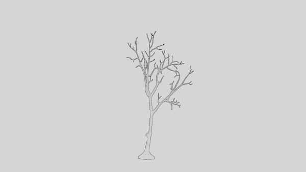 British Forest 3d Scene