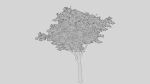 British Forest 3d Scene