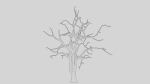 British Forest 3d Scene