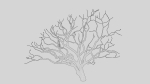 British Forest 3d Scene