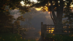 British Forest 3d Scene
