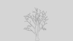 British Forest 3d Scene