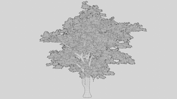 British Forest 3d Scene