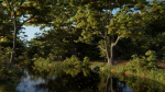 British Forest 3d Scene