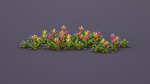 Bromeliad Tropical Flowers
