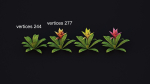 Bromeliad Tropical Flowers