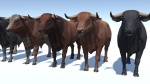 Bull realistic